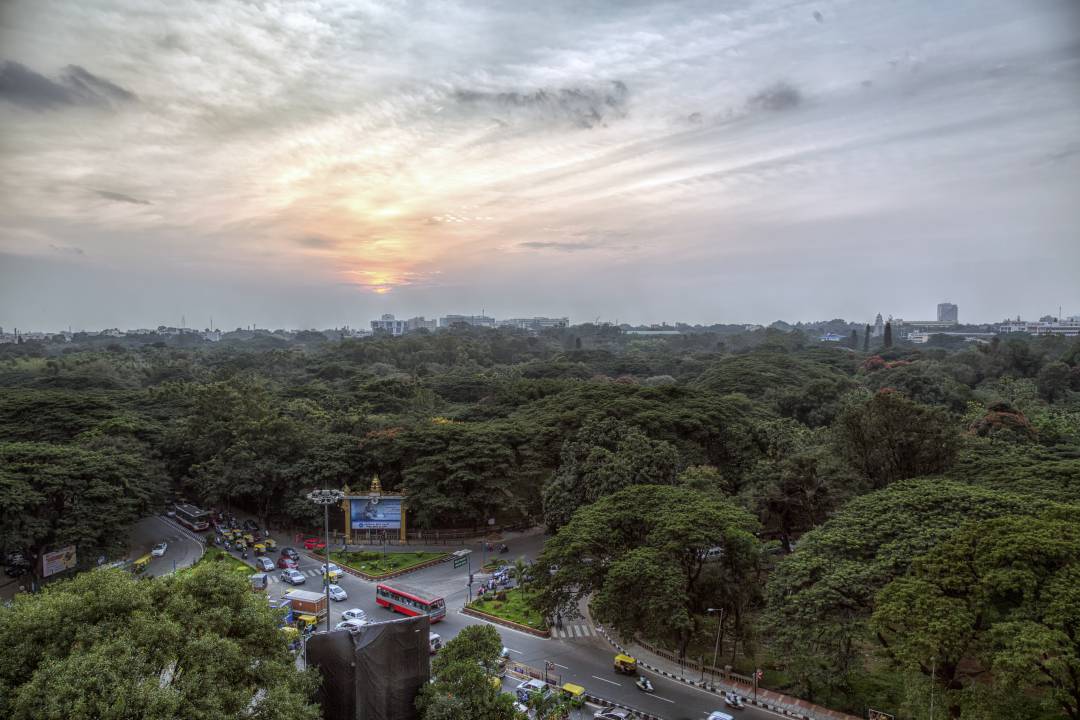 Cubbon Park